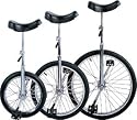 24 in. Torker Unicycle