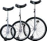 24 in Torker Unicycle