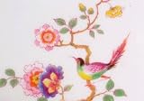 Paragon 56245 Bird of Paradise Teacup and Saucer