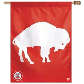 Wincraft Buffalo Bills 27x37 Vertical AFL Flag - Buffalo Bills One Size: Sports &amp; Outdoors