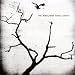 The Airborne Toxic Event