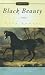 Book Black Beauty (Signet Classic)
