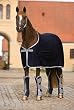 horseware rambo cooler