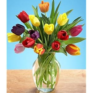  Beautiful Flowers-Assorted-Tulips