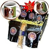 Dogs Cavalier King Charles Spaniel - Cavalier King Charles Spaniels - Coffee Gift Baskets - Coffee Gift Basket