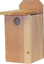 Bluebird House