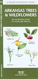 Arkansas Trees and Wildflowers: An Introduction to Familiar Species (A Pocket Naturalist Guide)