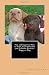 New and Improved How to Train and Understand your Labrador Retriever Puppy or Dog