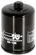 K&N KN-198 Polaris/Victory High Performance Oil Filter