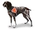 AKC Pet Safety Vest with Reflective Stripes, Medium, Orange