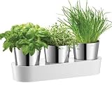 Produkt-Bild: Auerhahn 3001-2506 Herbs@Home Kr&auml;utergarten