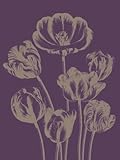 IMAGE OF (12x16) Tulip 13 Botanical Series Art Print Poster