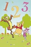 Eigenschaften Empire Merchandising GmbH / Winnie Puuh der Bär - 1 2 3 - Lernposter Disney-Poster