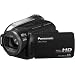 Panasonic HDC-HS20 High Definition Flash Memory Camcorder With 80GB Hard Disc Drive - Black