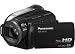 Panasonic HDC-HS20 High Definition Flash Memory Camcorder With 80GB Hard Disc Drive - Black