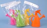Indoor Watering Can With Plant Spray