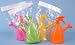 Kitchen & Housewares : Indoor Watering Can With Plant Spray