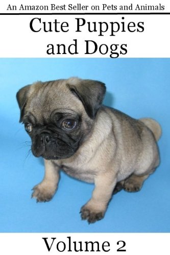 Cute Puppies and Dogs - Volume 2