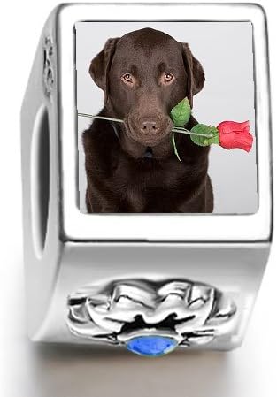 Fervent Love Chocolate Labrador dog with rose September birthstone photo flower charm beads
