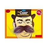 Csar Moustache Grey