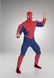 Spiderman Muscle Chest Costume - Adult Costume - Teen