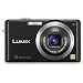 Panasonic Lumix FX100K 12.2MP Digital Camera with 3.6x Wide Angle MEGA Optical Image Stabilized Zoom (Black)