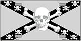 America sports Confederate Flag Skull Black & Silver License Plates