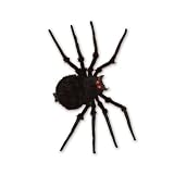 6.5' Black Spider