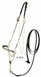 Silver Gold Scallop Nose Mini Horse Show Halter with Lead