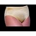 Sporting Goods : Danskin Women's Metallic Hipster Trunks