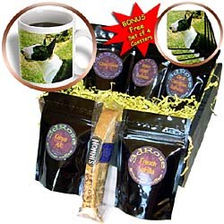 Dogs Miniature Bull Terrier - Miniature Bull Terrier - Coffee Gift Baskets - Coffee Gift... by 3dRose LLC