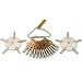 16 Pocket Watch 5 Prong Clock Keys Watchmakers Tools