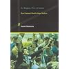 An Engine, Not a Camera: How Financial Models Shape Markets (Inside Technology Series)