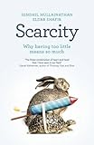 Scarcity : why having too little means so much