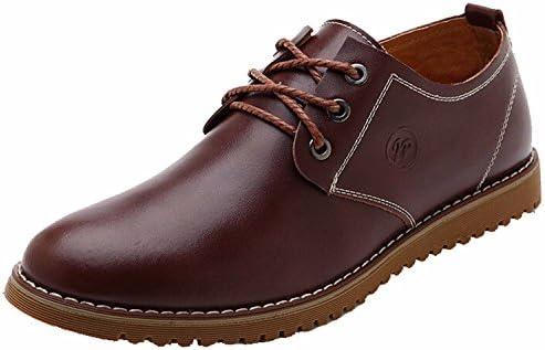 T&amp;Grade Fashion Casual Lace-up Ankle Rubber Sole Flats Boards Walking Sneakers Oxfords Shoes(8 D(M) US, Coffee)