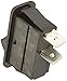 Raypak Rocker Switch 009493F