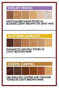 Sexy Hair Color Me Sexy Shampoo Creme Caramel 10 oz