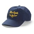 Blue Angels Wings Youth Hat