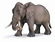 Schleich African Female Elephant