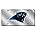 Carolina Panthers