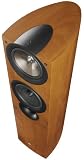 KEF IQ7 DARK APPLE KEF iQ7 Floorstanding Loudspeaker