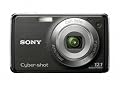 Sony Cybershot DSC-W220 12MP Digital Camera with 4x Optical Zoom with Super Steady Shot Image Stabilization (Black)