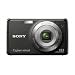Sony Cybershot DSC-W220 12.1MP Digital Camera with 4x Optical Zoom with Super Steady Shot Image Stabilization (Black)