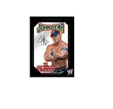 Groovy - Wwe Catch - Mirroir John Cena 32 X 36