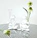 Pack of 4 Lime Light Playful Frog Flower Vases