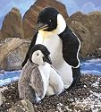 Folkmanis Emperor Penguin Hand Puppet 13"
