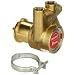 Procon 141A100F11AA Low Lead Brass Rotary Vane Pump, 3/8" NPTF, 112 GPH