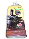 Batman Begins by Fruit of the Loom - Boys 3 Pack Briefs, Blue, Red, Multi