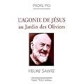 L'agonie de J�sus au jardin des Oliviers
