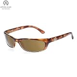 Ray Ban RB4115 Sunglasses